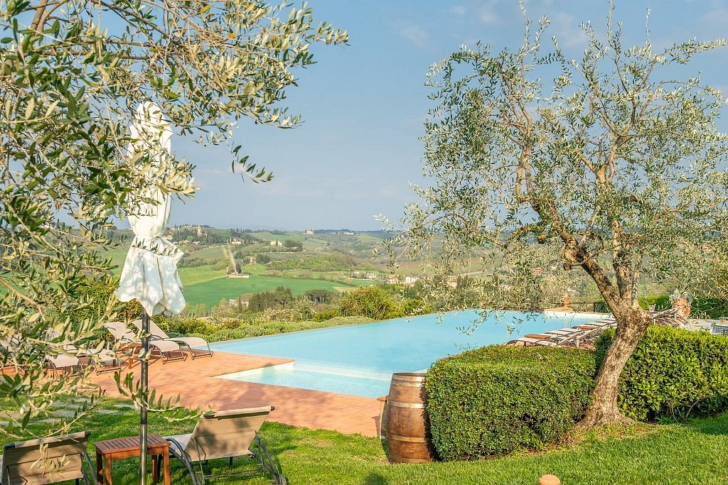 The infinity pool at Borgo Divino framed by olive trees with panoramic views over the Chianti hills